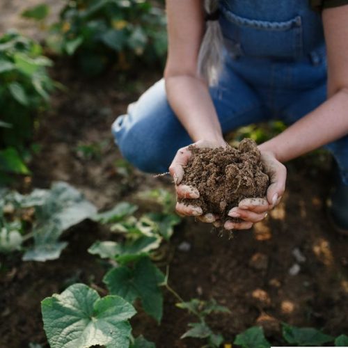 Agricoltura Rigenerativa: Scopri i Benefici per la Natura e l’Agricoltura