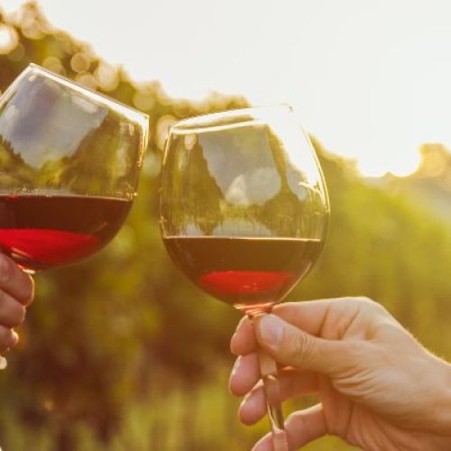 Scopri la Cantina a Pantelleria: un viaggio nel cuore dell’agricoltura siciliana